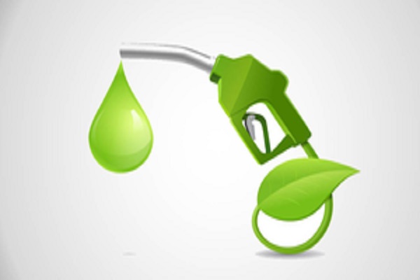 E20 petrol Demand in India by 2031: Market Capacity & Trends